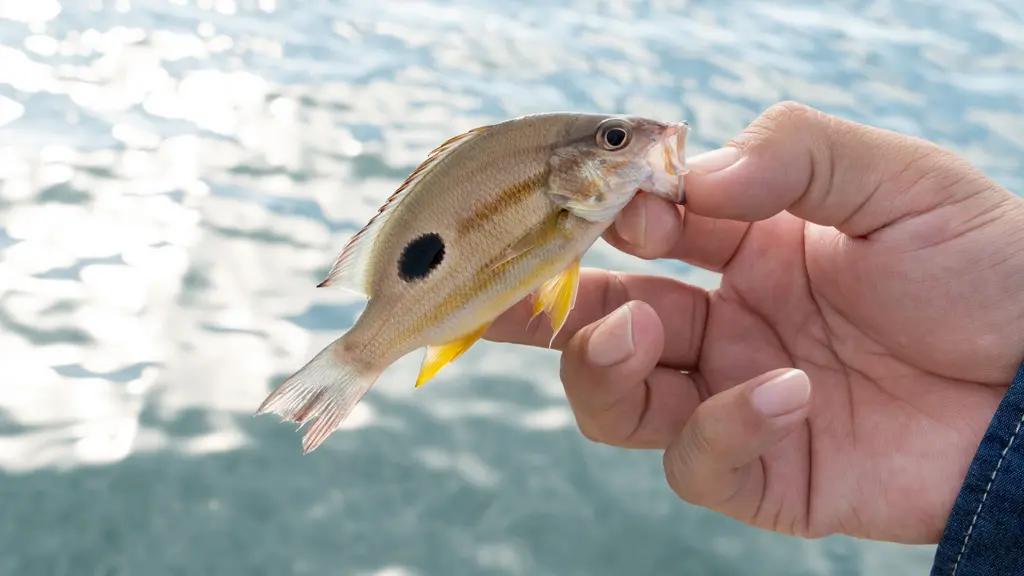 クリーンAg+銀精 釣り・アウトドア