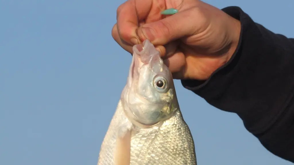 クリーンAg+銀精 釣り・アウトドア